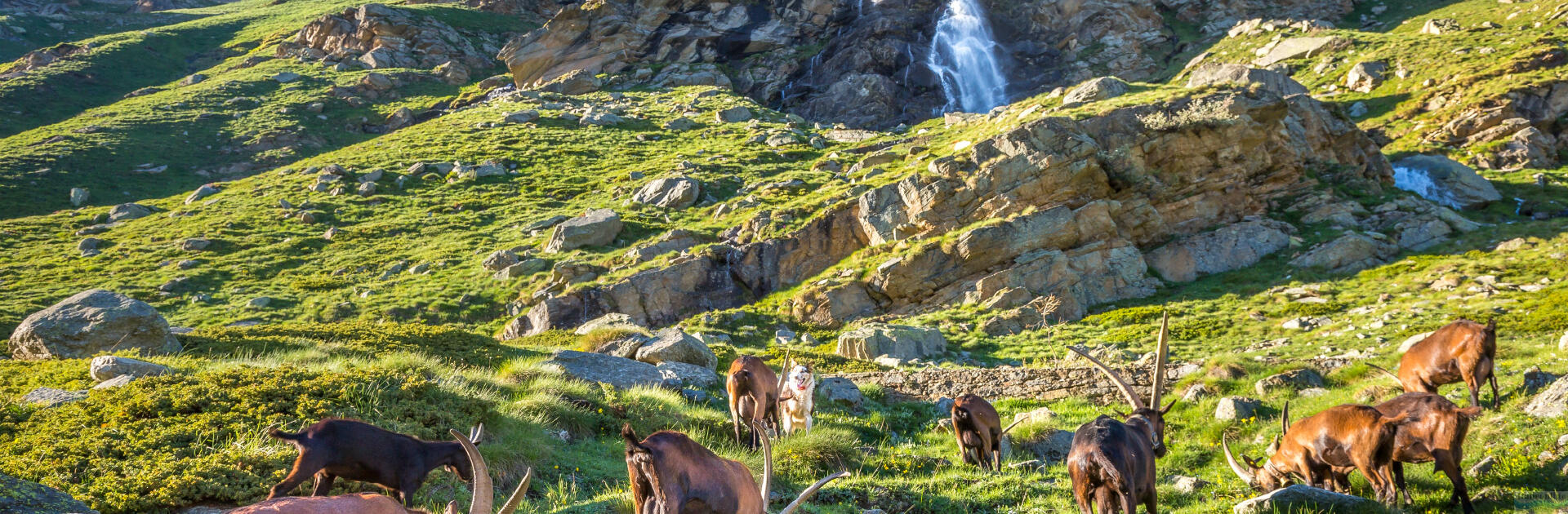 Valle d'Aosta