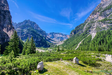 Alta Valtellina