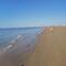 Bibione