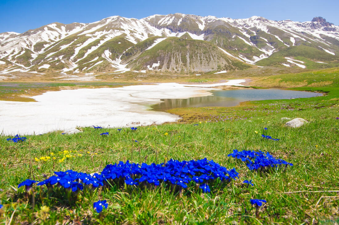 Campo Imperatore