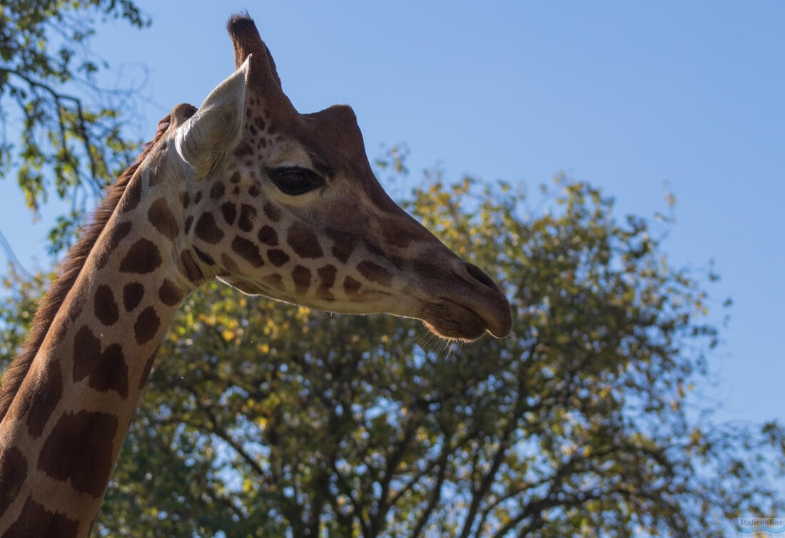 zoo punta verde