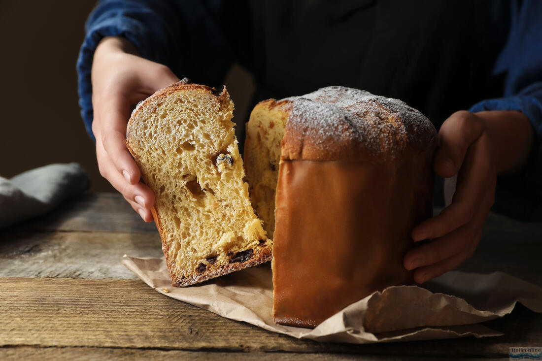 Panettone