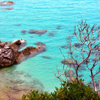 Tropea Zambrone