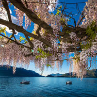 Lago di Como