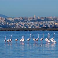 Cagliari