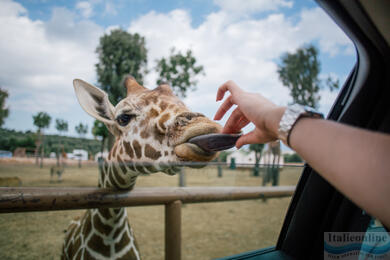 Archeologický park alebo ZooSafari. Objavte Fasano!