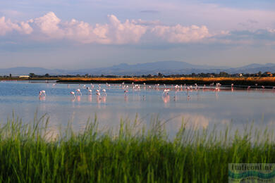 Cervia: soľ, slnko a tradícia