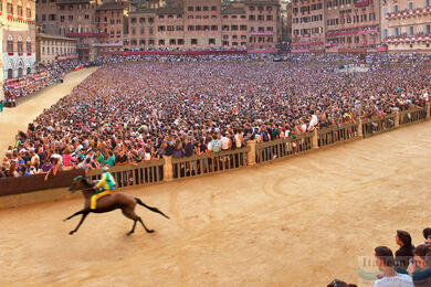 Dostih Palio di Siena