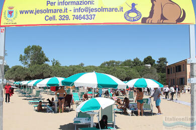 Psia pláž Bau Bau Beach Jesolo