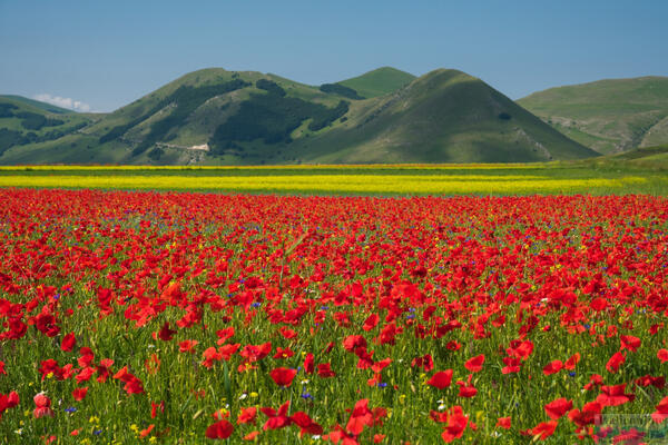 Umbria, zelené srdce Talianska