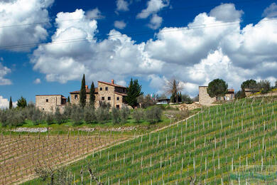 Appartamenti Casa Al Vento Gaiole in Chianti