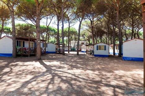 Camping Village Pineta sul Mare Cesenatico