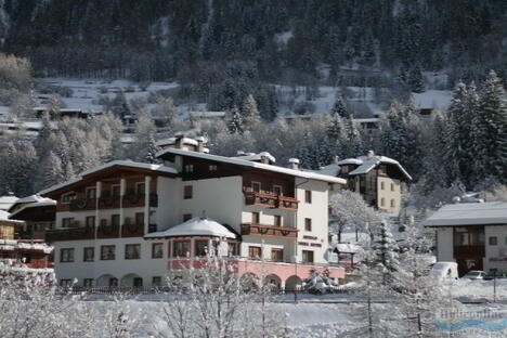 Hotel Stella Alpina